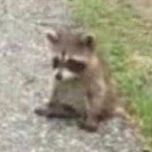 Meet your Posher, Kenz